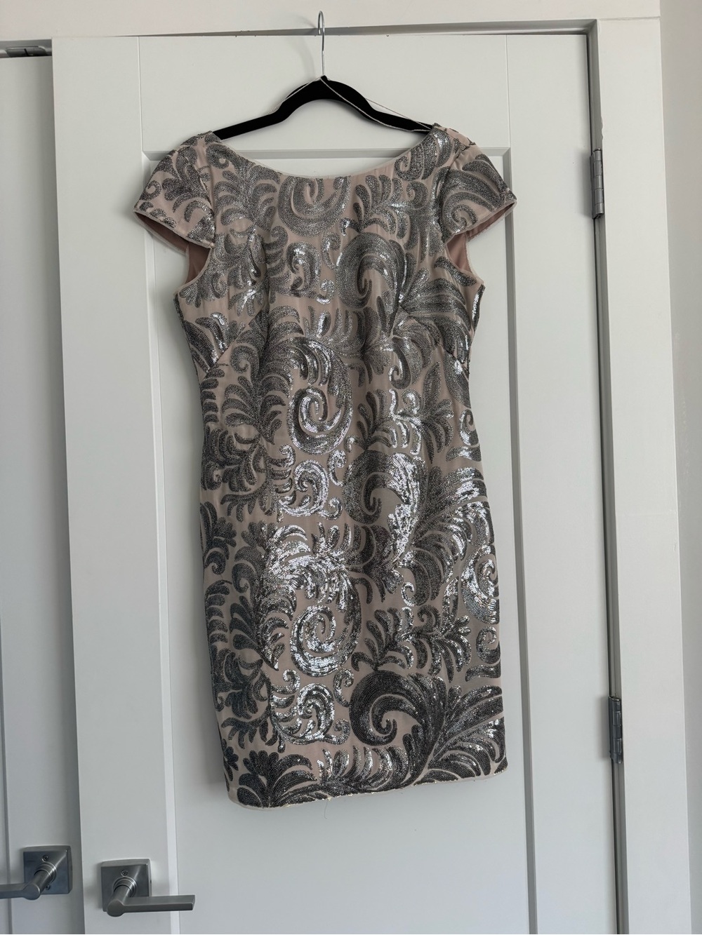 Adrianna Papell Blush Dress with Silver Sequin Swirl